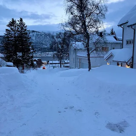 Leilighet In Down Town Aurora *