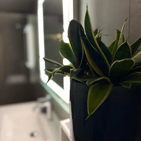 Апартаменты In Down Town Aurora