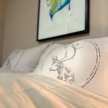 Apartment In Down Town Aurora Tromsø