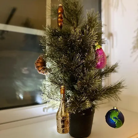 In Down Town Aurora Tromsø