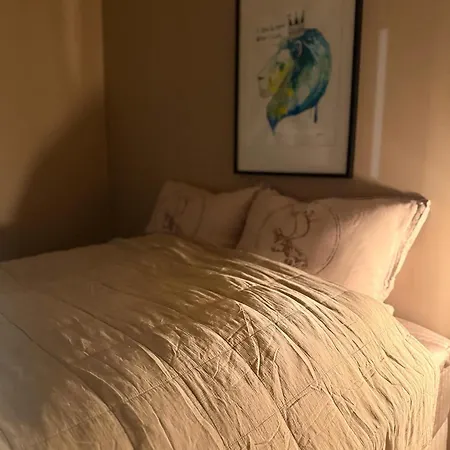 In Down Town Aurora * Tromsø