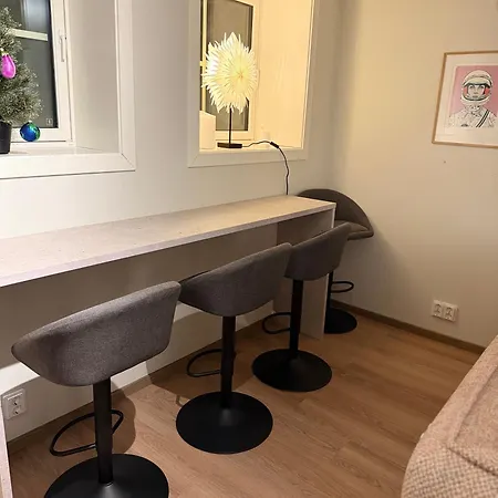 In Down Town Aurora Apartment Tromso