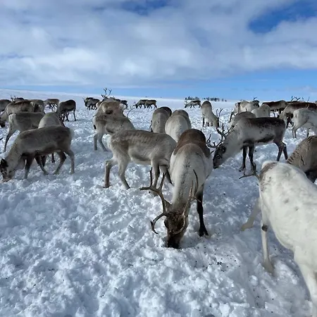 Apartment In Down Town Aurora